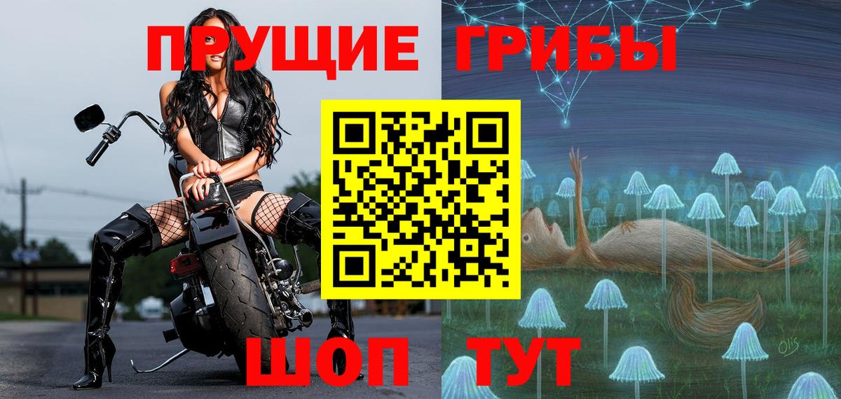 Галлюциногенные грибы Cubensis Осинники